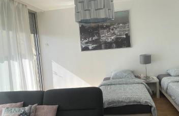 Bel Appartement near Bâle Mulhouse Airport - Foto 4