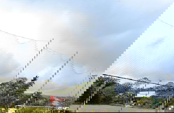 Papaya Dreams - Foto 40