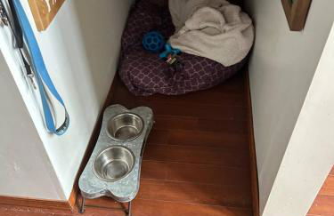 Digital Detox Cabin near Boat Ramp - Foto 20