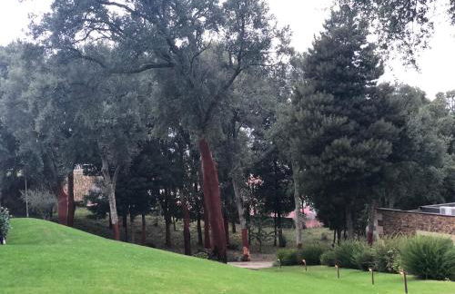 Bosque da Harmonia - Foto 34