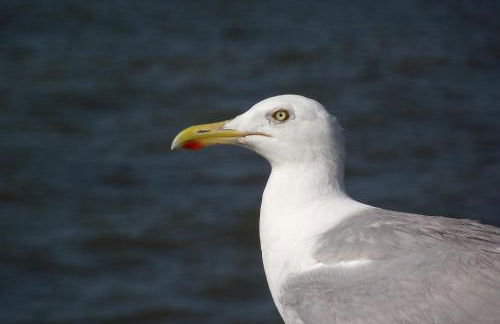 Reiterhof Gründeich - Foto 64