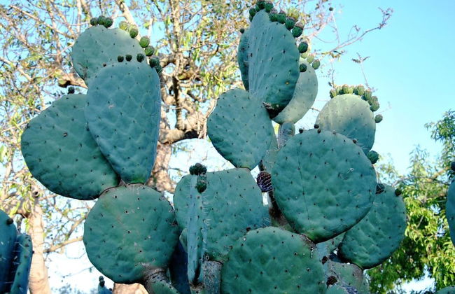 Terrazza sul Parco - Foto 15