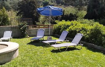 Green Heaven - Foto 3