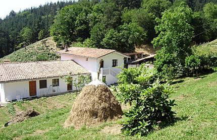 ANTZOMENDI - Foto 20