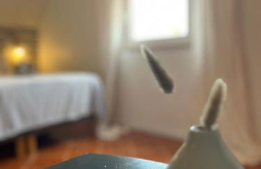 Casa das Flores Leiria Silvercoast Portugal - Foto 77