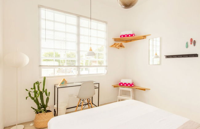 TROPICALIA by DW - Foto 17