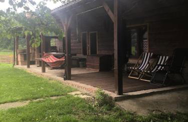 Bieszczadzka Sielanka - Foto 22