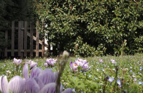 Agriturismo Il Magicorto - Photo 13