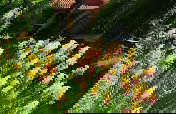 Home & Gardens 2-bed Villa in Sevasti, Katerini - Foto 9