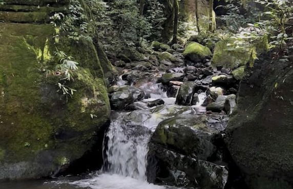 Canion Lajeado Cabanas - Photo 18