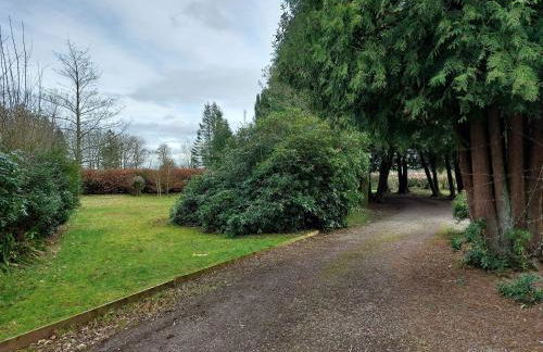 The Coach House- Canonbie - Foto 30