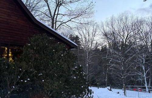 Log Cabin at the Goat Sanctuary - Foto 61