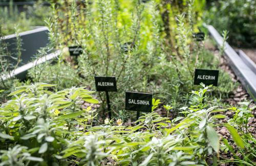 WI-FI 350MB | Foodhall | 450m do Shopping #CA03 - Foto 30