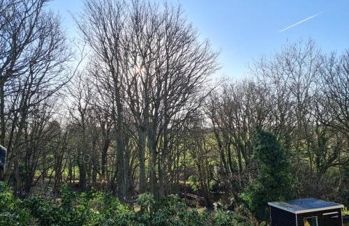 Marley's Retreat - Foto 20