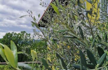 Haus MARE - entspannen & sonnenbaden - Foto 17