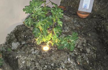 Tapada das Carvalhas - Foto 17