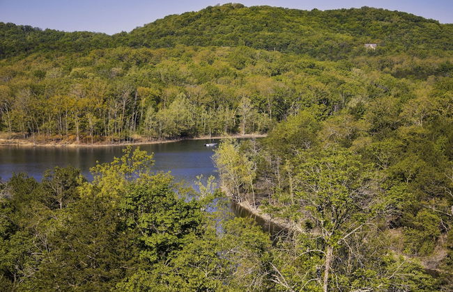 Branson Condo Resorts Silver Dollar City - Foto 42