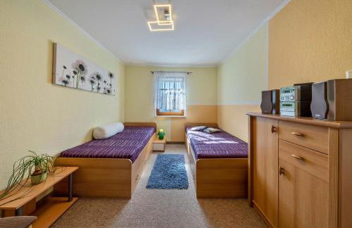 Idyllische Ferienwohnung am Pillnitzer Schlosspark - Photo 15