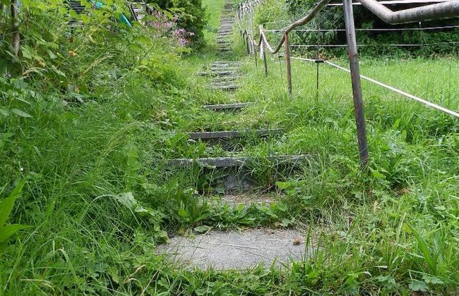 La Ruche, Chalet - Foto 10