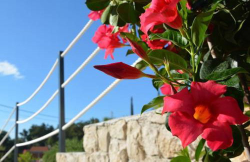 NIMA Cozy Stay Mlini - Foto 60