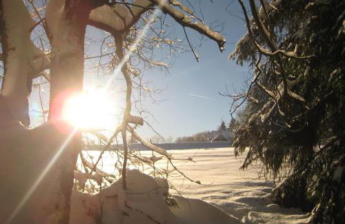 Zigeunermühle - Foto 27