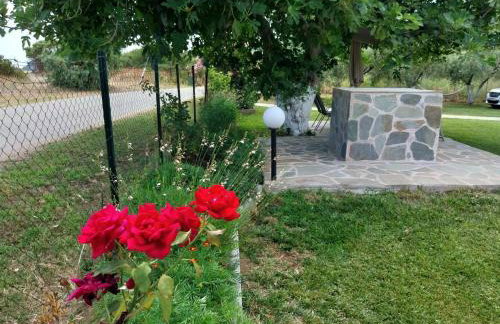 Bill & Eva's precious jewel - Photo 32