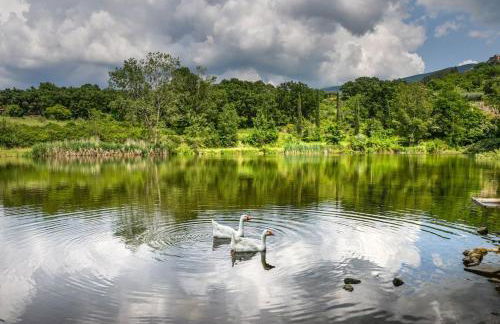 38-Volpini House In Amiata - Val d'Orcia, Saturnia, Feste&Sagre - Foto 36