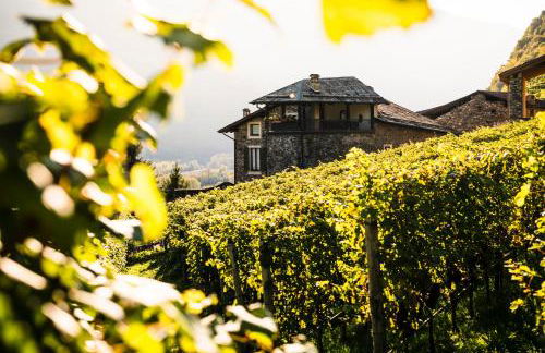 VILLA DEL LUPO: Crown of The Valtellina - Foto 18