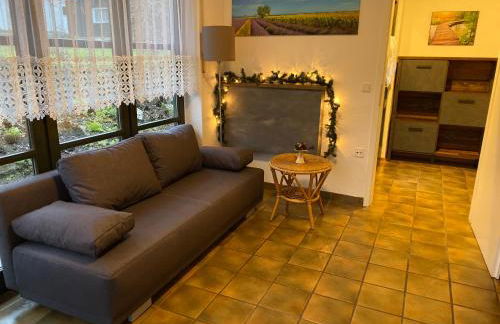 Ferienwohnungen Elsterblick Bad Elster - Foto 7