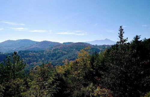 Apartaments els Pins - Sant Hilari Sacalm - Foto 11