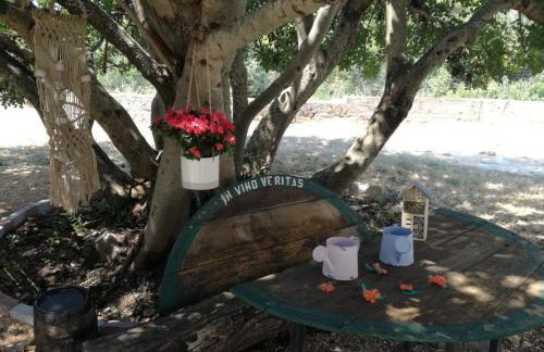 Hvar Mediterranean Ranch House - Foto 69