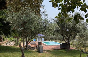 Monte das Aranhas - Foto 44