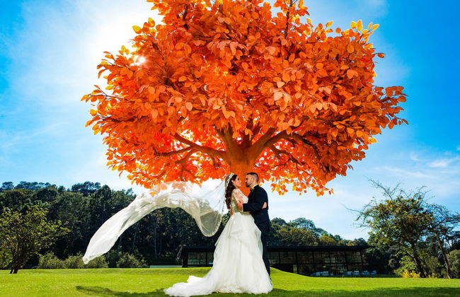 Sierra Lago Resort & Spa - Foto 49