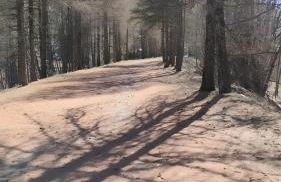 Gite Notre Désir - Photo 36