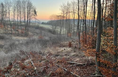 FeWo Landzeit - Foto 3