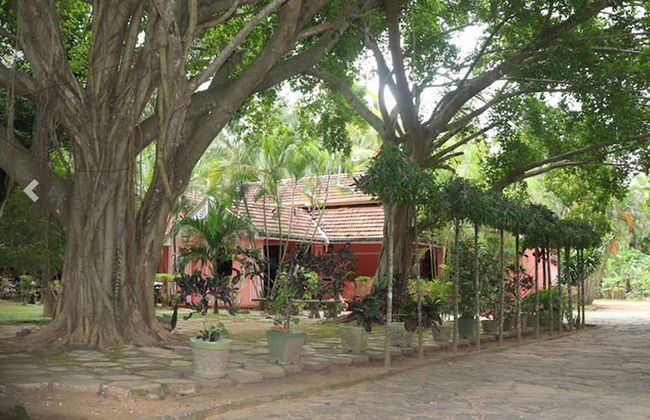 Villa Sunshine Hotel - Foto 1