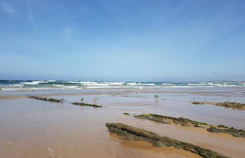 Silver Coast - Casa da Ilha - Foto 33