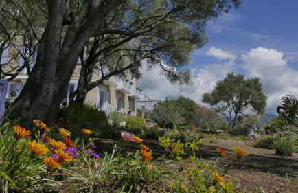 Les Figuiers - Foto 56