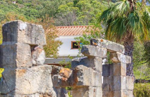 Sunny Bird House Bolonia - Foto 28