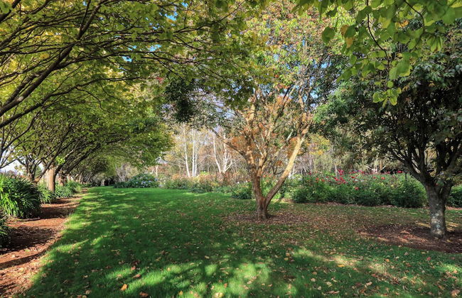 Boat Harbour Garden Cottages - Foto 41