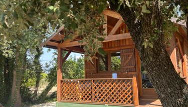 Rouleraventoux, Gîte sportif avec piscine, sauna, salle de sport, jardin - Foto 4, Garden