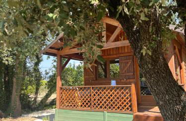 Rouleraventoux, Gîte sportif avec piscine, sauna, salle de sport, jardin - Foto 4