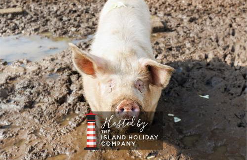 The Old Abbey Farmhouse - Stay at Quarr Abbey Monastery - Pet-Friendly Farmhouse with History & Countryside Views, surrounded by woodland & nature - Photo 60