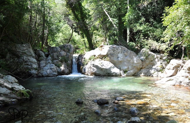 Agriturismo Fieri - Photo 19