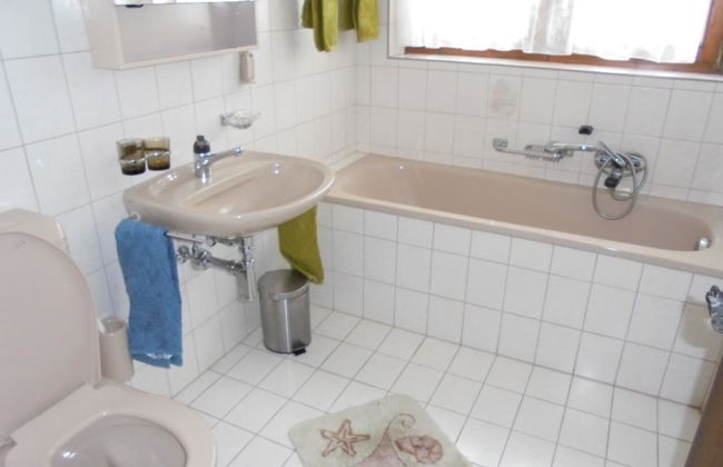 Silberdistel - Foto 15