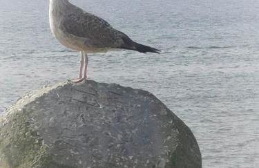 Sunset Apartment by Sesimbra Sun Sea - Foto 64