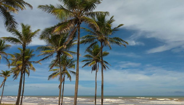 Aracaju City - Walking Tour - Photo 3
