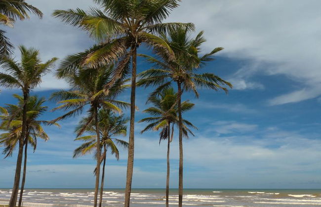 Aracaju City - Walking Tour - Photo 3