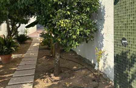 Lezíria Houses - Ribatejo - Foto 48