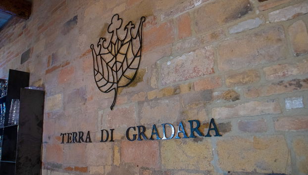 Terra di Gradara - Foto 2, Recepción